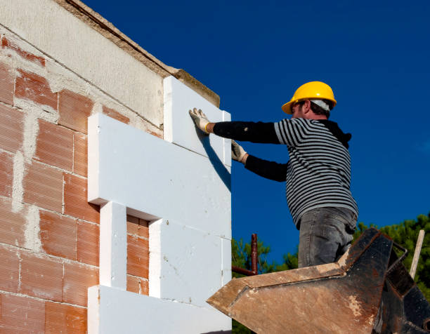 Best Commercial Insulation in Fruitland, MD