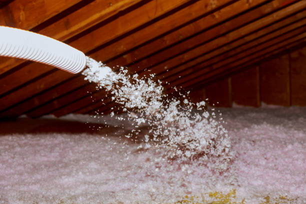 Best Specialized Insulation Services in Fruitland, MD