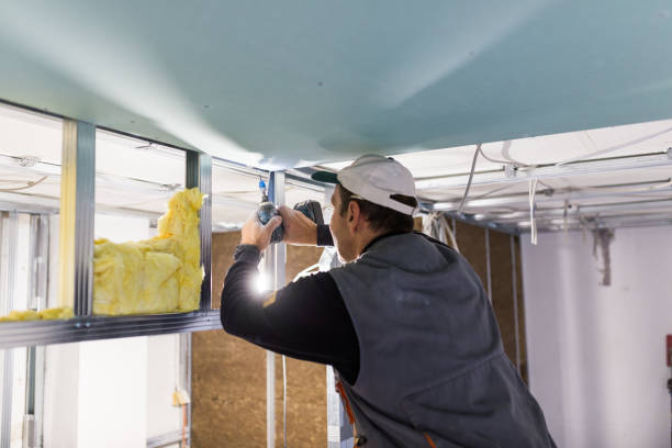 Best Fiberglass Insulation in Fruitland, MD