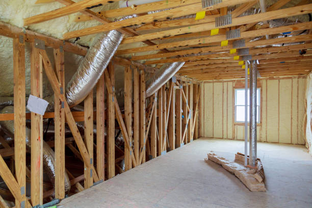 Best Geographic-Specific Insulation Services in Fruitland, MD