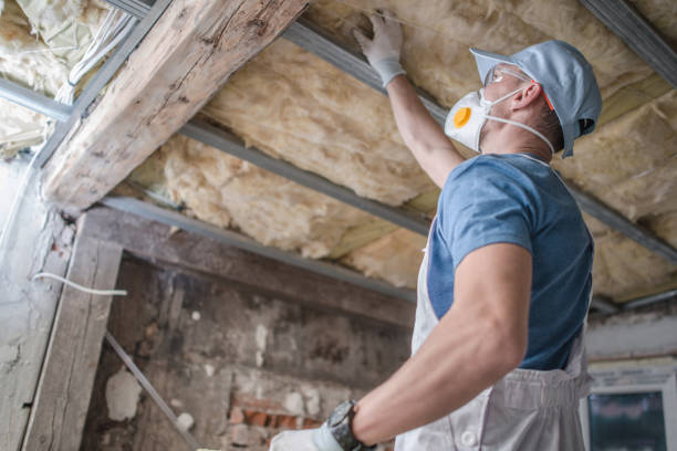Best Spray Foam Insulation in Fruitland, MD