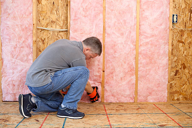 Best Energy Efficiency Insulation in Fruitland, MD